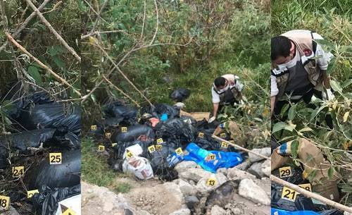 ¡Terrible! Encuentran más de 100 cadáveres de perros embolsados en Naucalpan